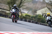 Oulton-Park-21st-March-2020;PJ-Motorsport-Photography-2020;anglesey;brands-hatch;cadwell-park;croft;donington-park;enduro-digital-images;event-digital-images;eventdigitalimages;mallory;no-limits;oulton-park;peter-wileman-photography;racing-digital-images;silverstone;snetterton;trackday-digital-images;trackday-photos;vmcc-banbury-run;welsh-2-day-enduro